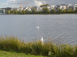 2026-10-dortmund